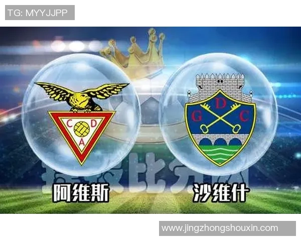 沙维什与阿维斯激战在即12月20日精彩对决不可错过